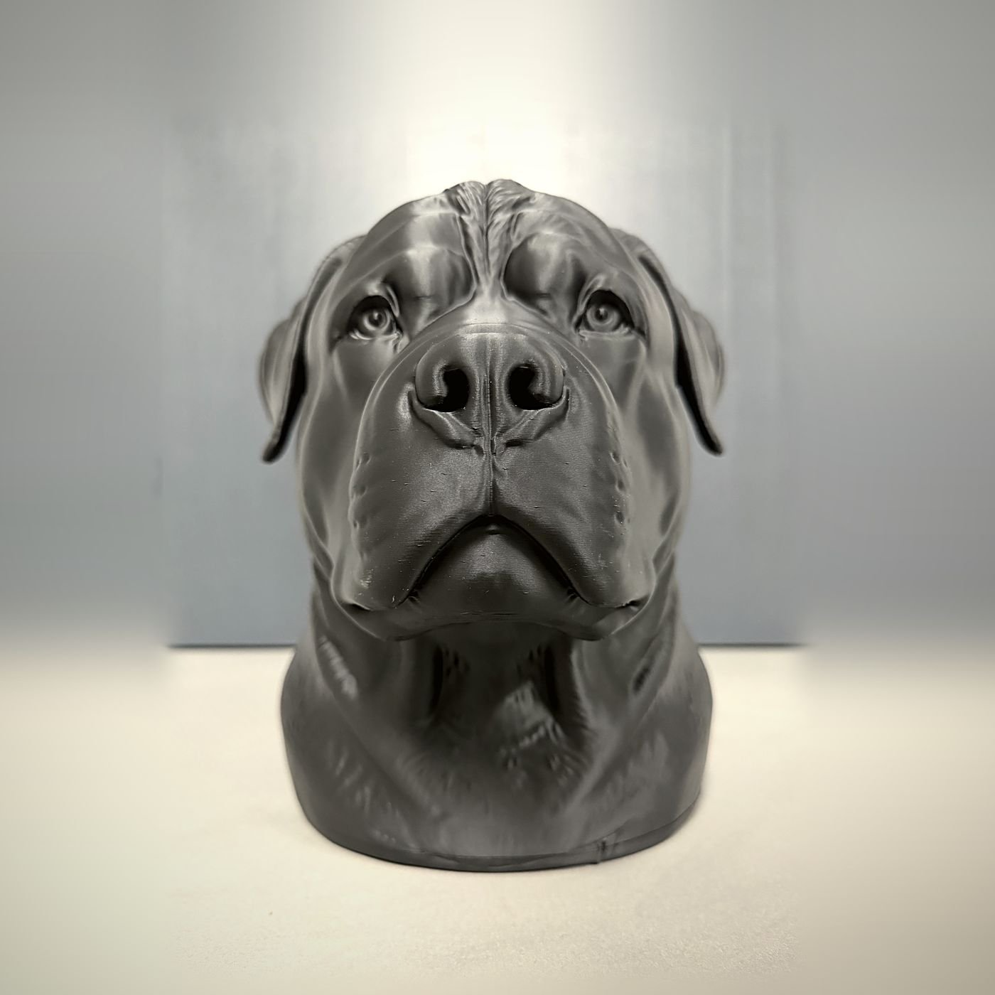 Schwarze Büstenurne des Rottweilers Loki von vorne